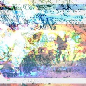 Elephant in the Room