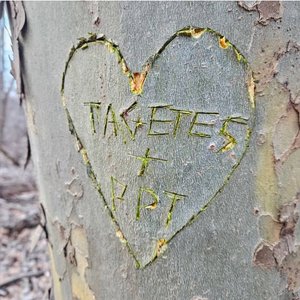 Tagetes <3's PersonPlaceThing - Single