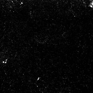 Four Movements of a Shade