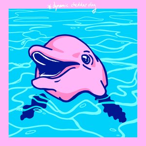 The Dolphin Album