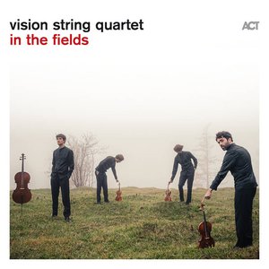 Vision String Quartet – In the Fields LP viršelis