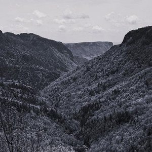 Across the Forsaken Wilds