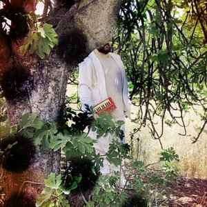 cassendi nuis (remains)