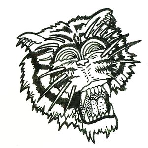 Jump on the Tiger