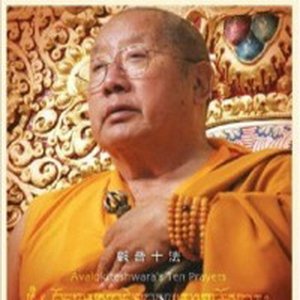 H.H. Penor Rinpoche 的头像