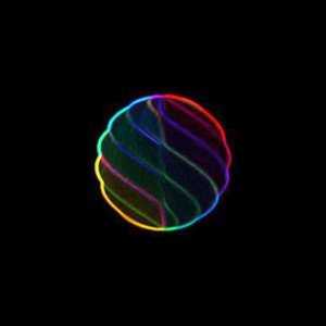 8th Dimension 的头像