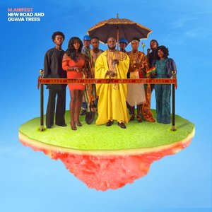 NEW ROAD AND GUAVA TREES