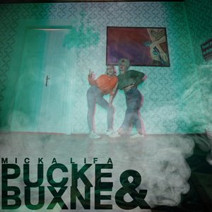 Pucke i buxne