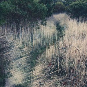 Hidden Landscape