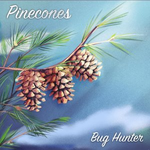 Pinecones