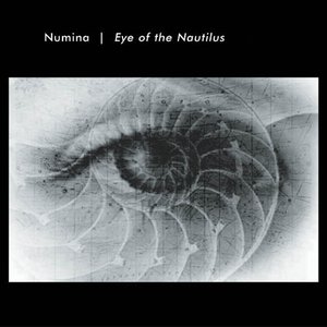 Eye of the Nautilus