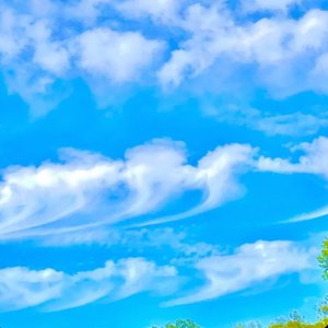 Clouds - Single