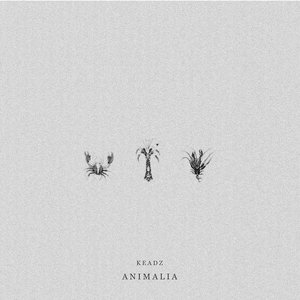 Animalia