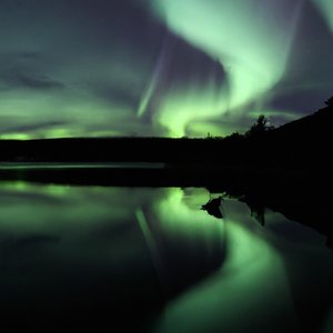 Silent Aurora - Single