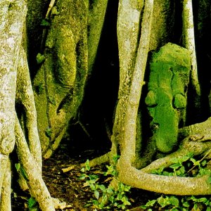 Rama of the Woods