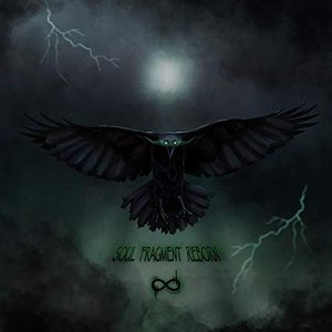 Soul Fragment: Reborn