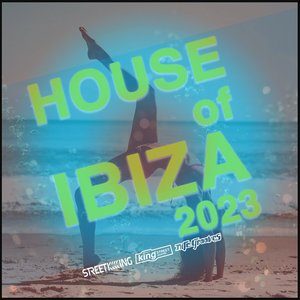 House Of Ibiza 2023