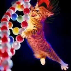 HappyKitty 的头像