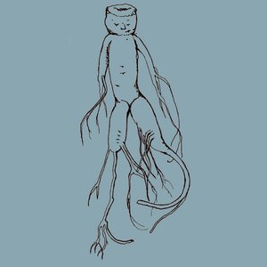 Ginseng: a Soundtrack