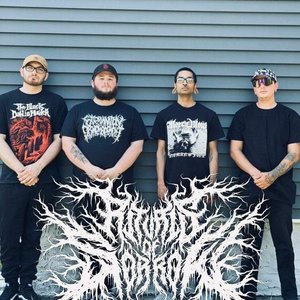 Rituals of Sorrow 的头像