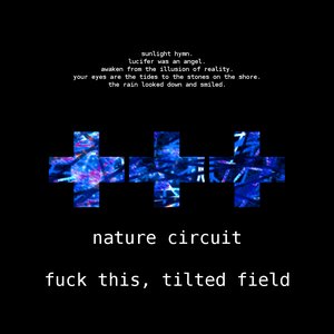 Fuck This, Tilted Field
