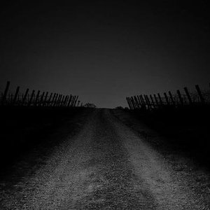 Wrong Way Home 的头像