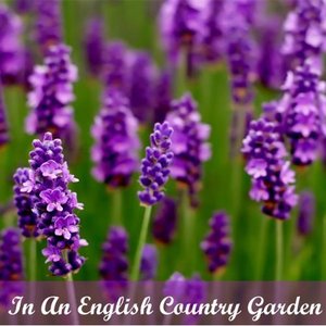 In An English Country Garden