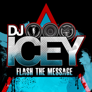 Flash the Message cover