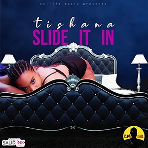 Slide It In