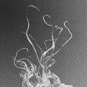 Szondi Test 的头像