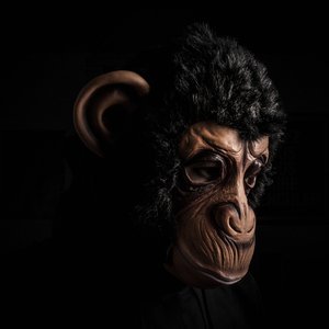 Avatar for Le Monkey