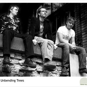 Image for 'The Unbending Trees'