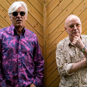 Avatar för Robyn Hitchcock / Andy Partridge