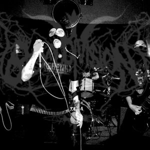 Blood Division 的头像
