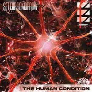 The Human Condition