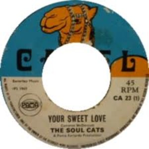 Soul Cats のアバター