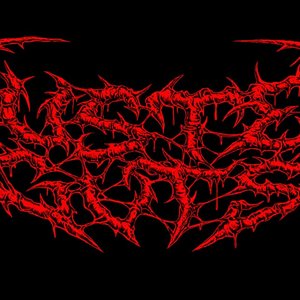 Busted Guts 的头像