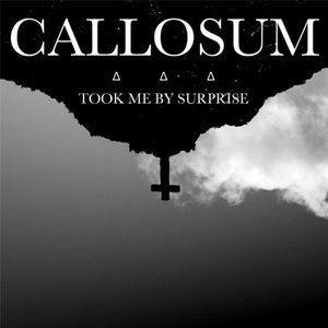 Took Me By Surprise - Single