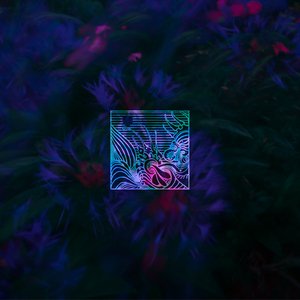 Nocturn I​-​V