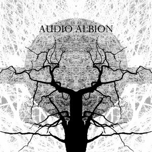 Audio Albion