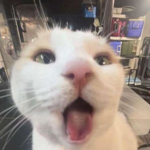 Avatar for JXDE