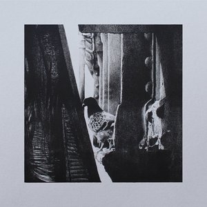 Small Animal Hospital