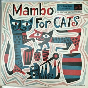 Mambo For Cats