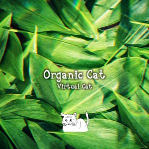 Organic Cat