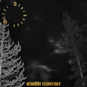 Nimble Existence