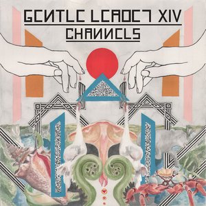 Channels