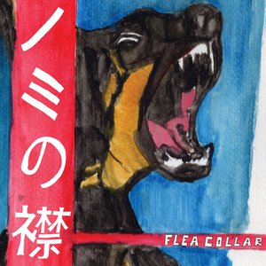 Flea Collar