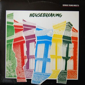 Housebreaking