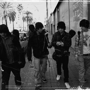 Kiwi Warriors 的头像