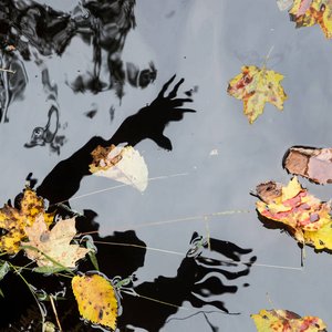 Dying in Deep River